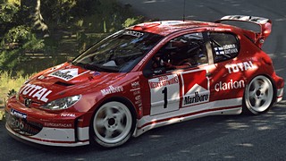 Peugeot 206 WRC Grönholm livery